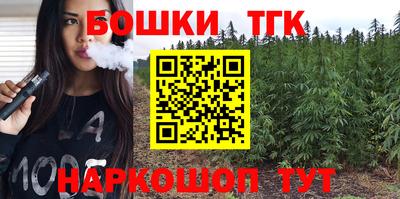 гидропоника Камышлов